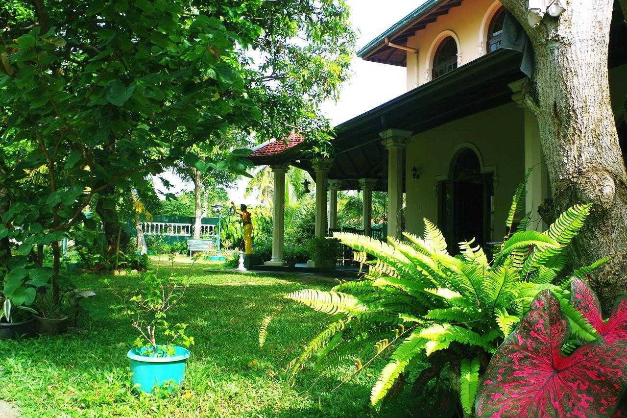 Villa Eco Green Negombo Extérieur photo